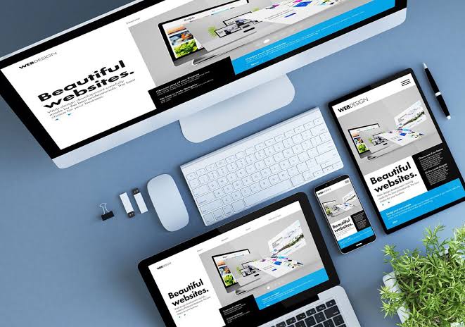 custom wordpress web development